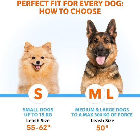 Hands-Free Dog Leash for Medium and Large Dogs – Professional Harness with Reflective Stitches for Training, Walking, Jogging and Running Your Pet