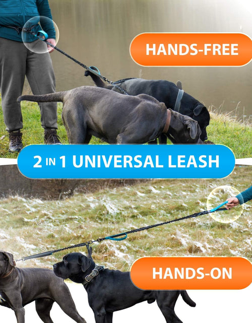 Load image into Gallery viewer, Hands-Free Dog Leash for Medium and Large Dogs – Professional Harness with Reflective Stitches for Training, Walking, Jogging and Running Your Pet
