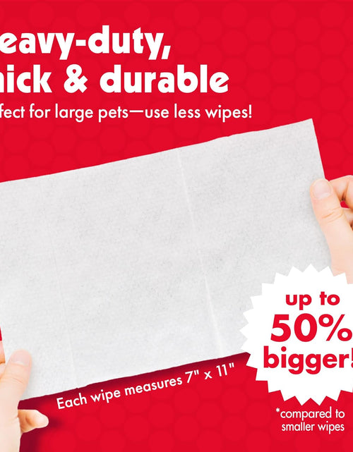 Load image into Gallery viewer, Pet Wipes for Dogs and Cats, 100 Large Wipes - Removes Dirt &amp; Odor like Washing Hands - Cleans Ears, Face, Butt, Eye Area - Convenient, Ideal for Home or Travel - 1 Pack of 100 Wipes

