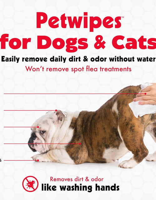 Load image into Gallery viewer, Pet Wipes for Dogs and Cats, 100 Large Wipes - Removes Dirt &amp; Odor like Washing Hands - Cleans Ears, Face, Butt, Eye Area - Convenient, Ideal for Home or Travel - 1 Pack of 100 Wipes
