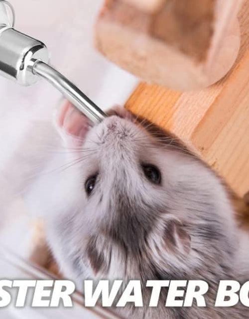 Load image into Gallery viewer, Pet Water Dispenser Automatic Pet Water Feeder Pet Hanging Water Feeding Bottle Hamster Water Bottle Water Feeder for Birds with Stainless Steel Ball Nipple
